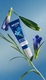 Weleda Lifting cream for eye and lip contour Blue Gentian and Alpine Pansy