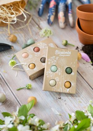 Seed Bombs - Mini Gift Set 