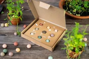 Blossombs Seed Bombs - Medium Gift Set 