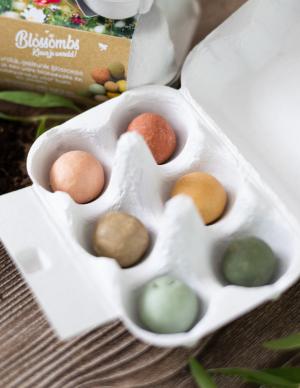 Seed Bombs - Egg Gift Box - Spring (6 pcs) - wild meadow flowers