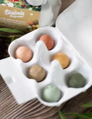 Blossombs Seed Bombs - Egg Gift Box - Spring (6 pcs) - wild meadow flowers