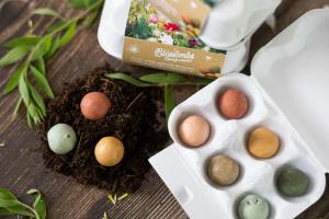 Seed Bombs - Egg Gift Box - Bouquet (6 pcs) - an original and practical gift