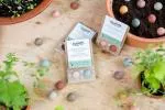 Blossombs Seed Bombs - Tiny gift (2 pcs) - original and practical gift in one