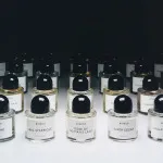 Sundazed Eau de Parfum Unisex 100 ml
