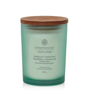 Chesapeake Bay Balance + Harmony scented candle 250 g