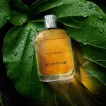 Adventure Eau de Toilette for Men 100 ml