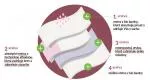 Organyc Organic cotton menstrual panties - ultra absorbent S