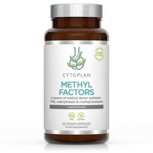 METHYL FACTORS - B1 Betaine B2 B6 Folic Acid (L-Methylfolate) Vitamin B12 and Zinc, 60 capsules