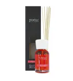 Mela & Cannella aroma diffuser 100 ml