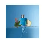 Voyage Eau de Toilette for Men 100 ml