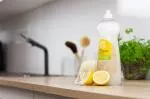 Tierra Verde Dishwashing gel with organic lemon oil (1 l)