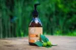 Tierra Verde Chestnut shampoo for strengthening hair with orange (230 ml)