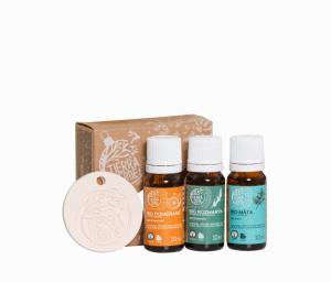 Winter set of BIO essential oils with vaporizer (3 pcs vaporizer)