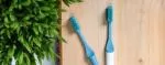 TIO Toothbrush (ultra soft) - glacier blue - made from plants