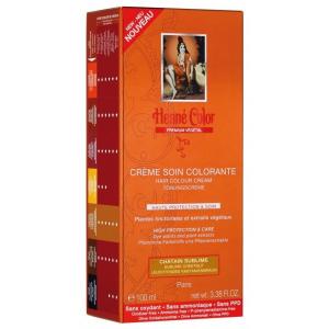 Tinting hair dressing with high protection and care Premium 100ml Chestnut