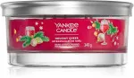 Holiday Cheer Signature Tumbler 5 Knots 340 g