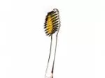 Nano-b Toothbrush with gold and activated charcoal blue - medium
