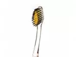 Nano-b Toothbrush with gold and activated charcoal green - medium