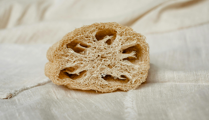 Natural loofah sponge is a small miracle for every day