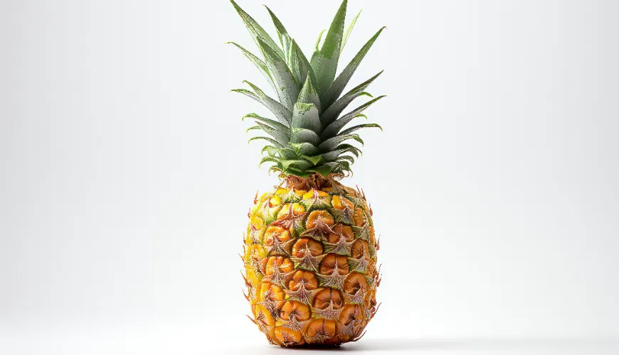 Myths and facts about pineapple consumption during pregnancy