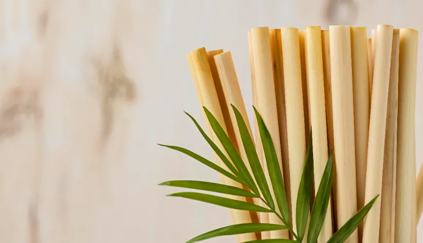 Bamboo straws are a modern choice for a better world