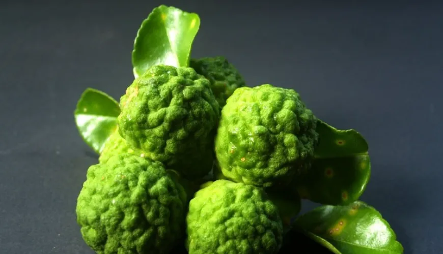 Bergamot essential oil brings balance and mental peace