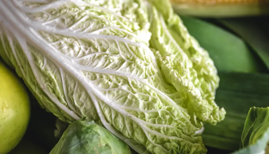 Get inspired by white cabbage in traditional and modern recipes