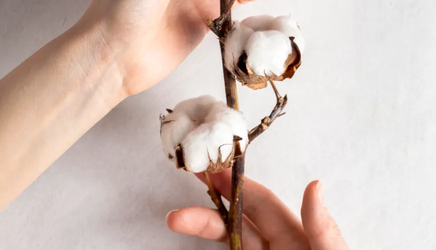 How organic cotton is changing the fashion industry for the better