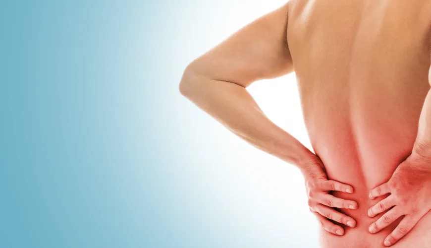 Adrenal Health: The Key to Back Pain Relief