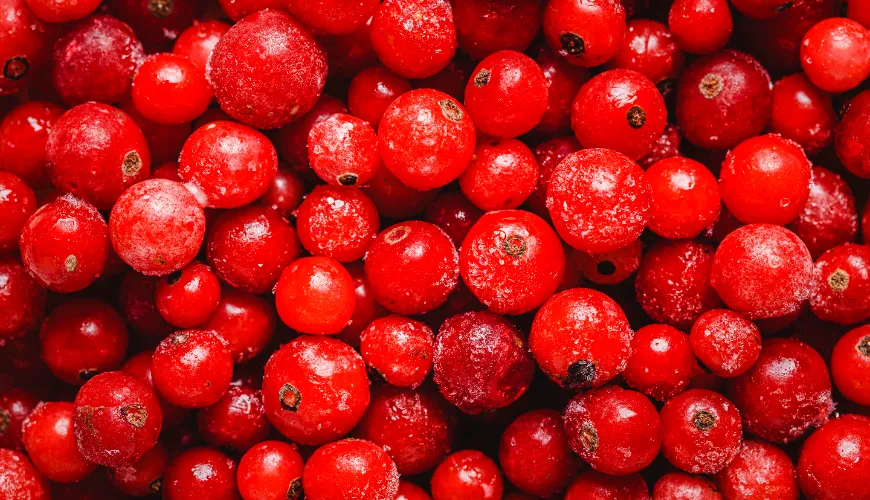 Benefits of cranberries for pregnant women