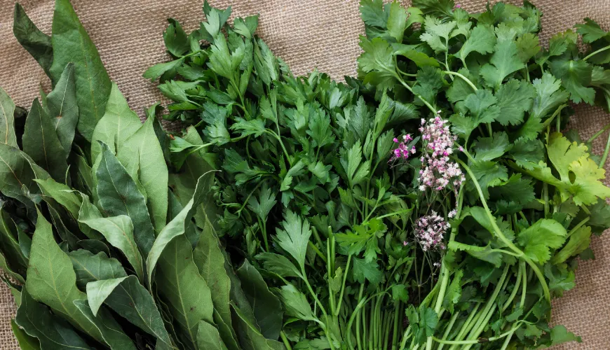 Herbs That Support Health and Lower Cholesterol