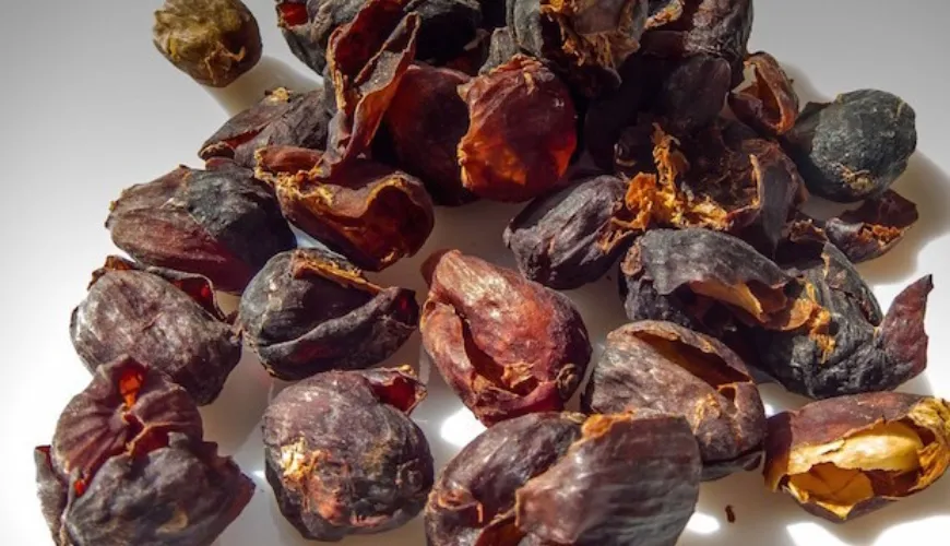 Discover the magic of cascara and its benefits