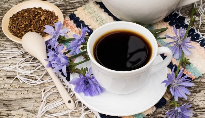 Effects of Chicory Coffee That Will Support Your Health