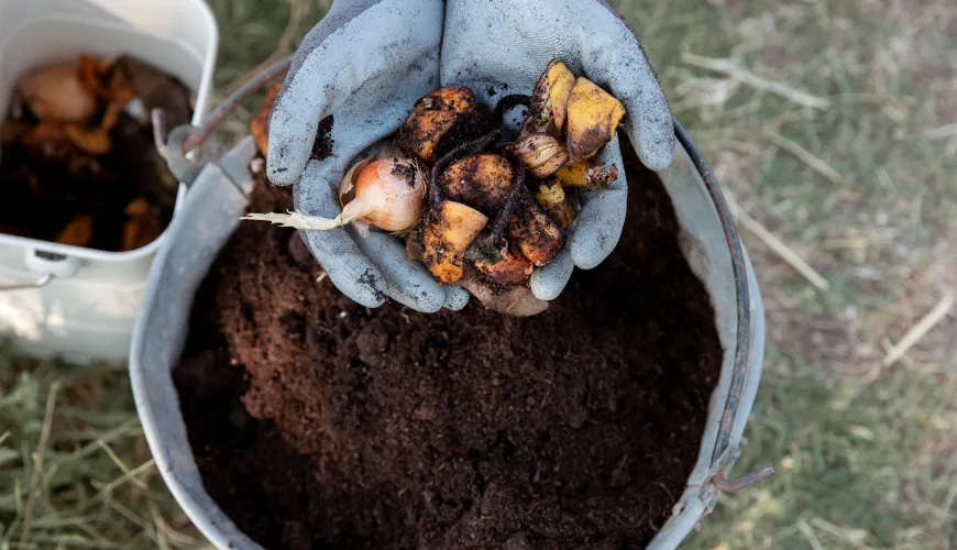 What You Can Compost and What to Leave Out