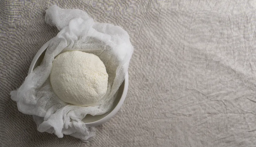 How to Make Fresh and Delicious Homemade Mozzarella