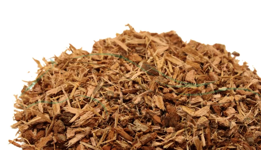 Oak bark is a natural aid for healthy skin