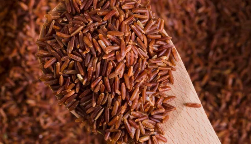 All about Brown Rice and Its Impact on Your Health