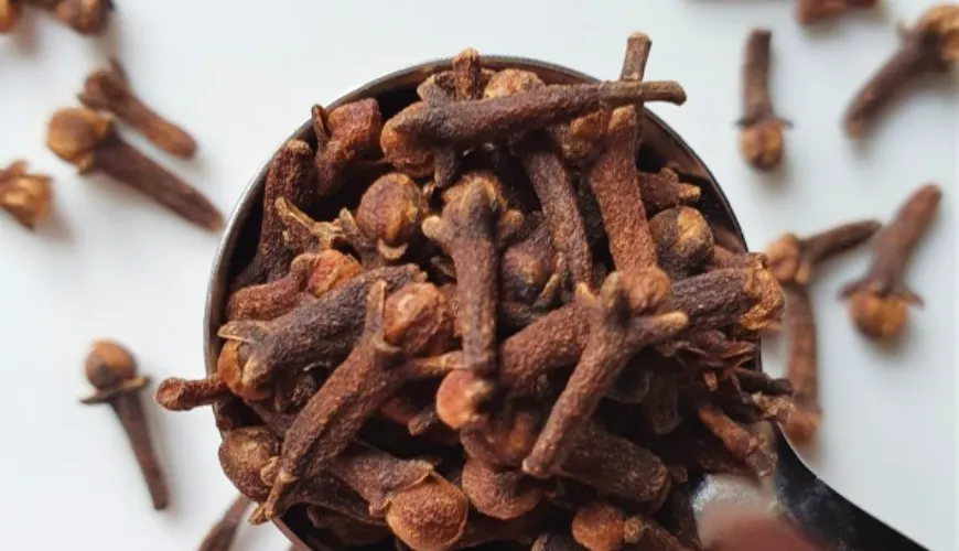 The Miracle of Nature: Clove and Its Healing Properties