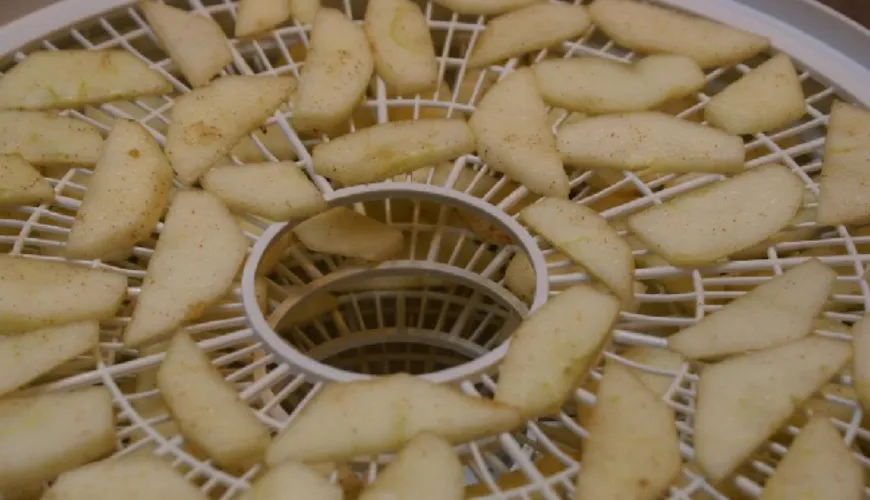 How to Make Perfect Apple Chips Straight from the Dehydrator