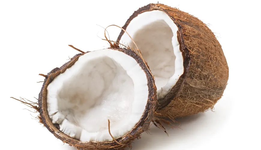 The Secret of Coconut Milk and Its Health Benefits