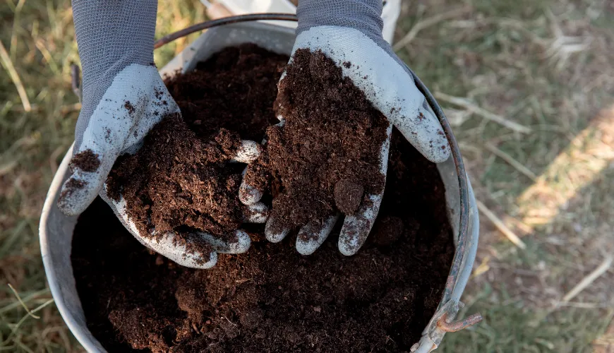 Get quality compost with an activator