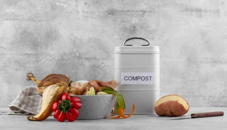 A Biowaste Bin as a Step Towards a Cleaner Environment