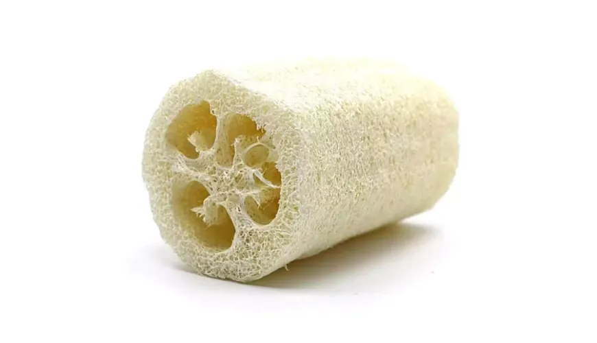 Practical Loofah Sponge - A Natural Alternative to Plastic