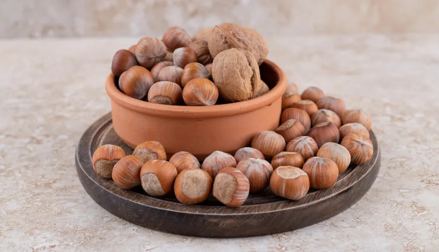 Macadamia Nuts: The Key to Better Health and Fitness