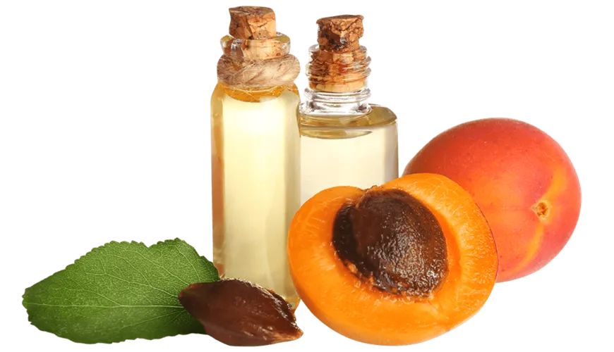 Benefits of Apricot Oil for Your Skin and Health