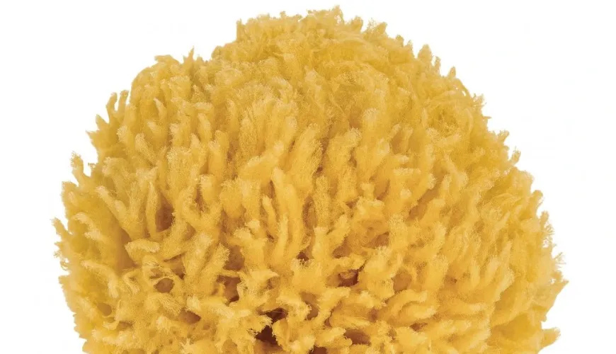 Sea Sponge - Gentle Care for Body and Home