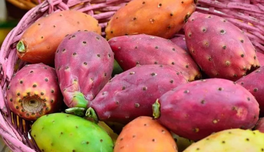 Prickly pear provides deep care and protection for the skin