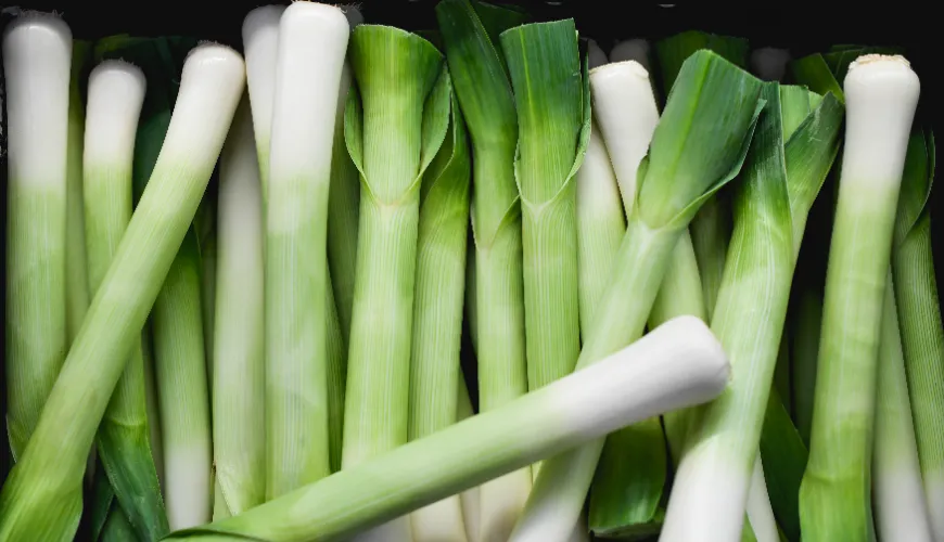 Why Leeks Are a Treasure for Healthy Digestion and Beauty