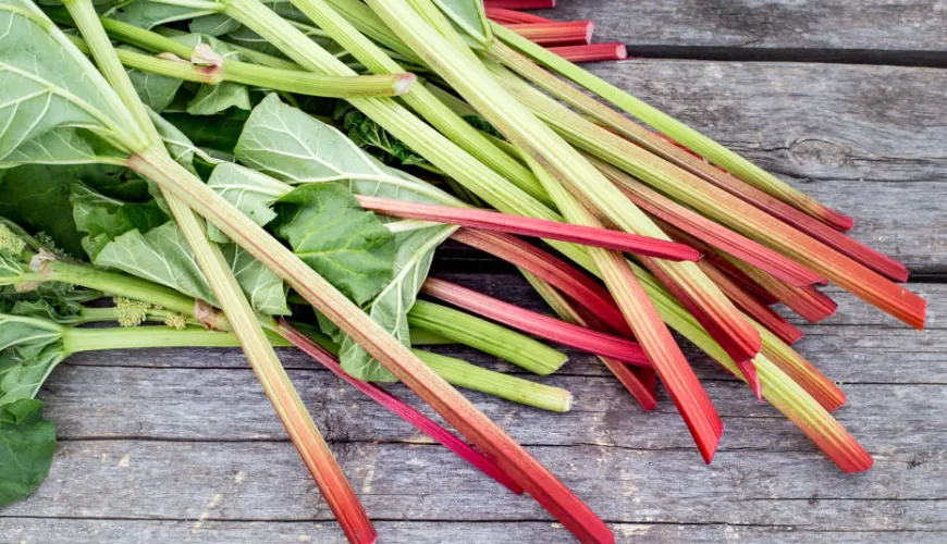 Why Rhubarb is Ideal for Healthy Cooking