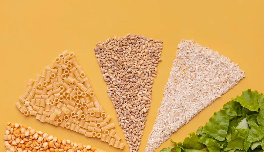 Discover the benefits of plant-based proteins for your body